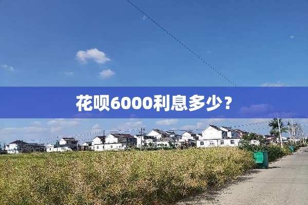 花呗6000利息多少？