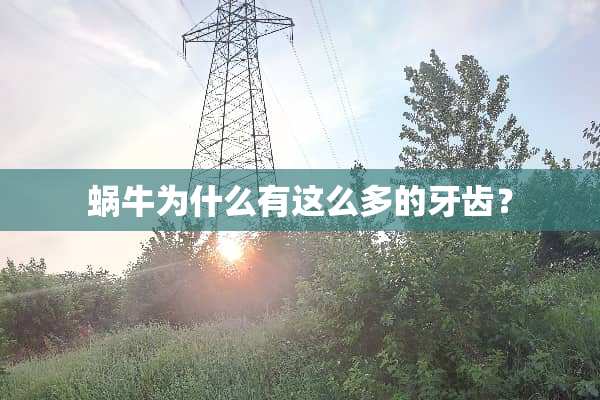 蜗牛为什么有这么多的牙齿？