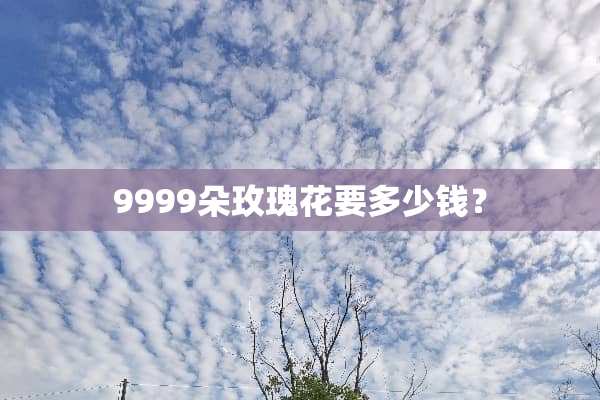 9999朵玫瑰花要多少钱？
