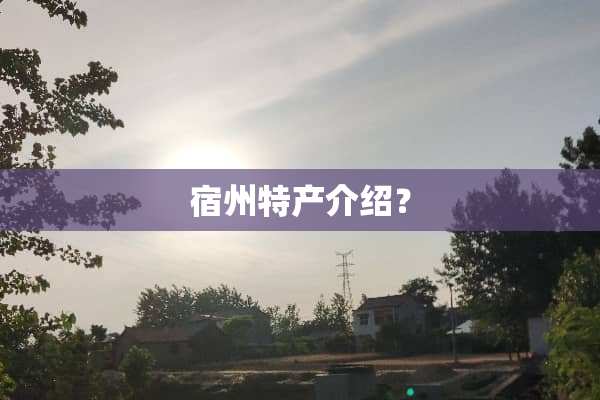 宿州特产介绍？
