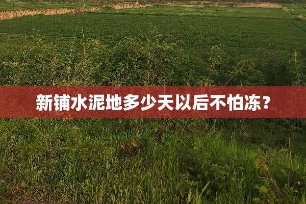新铺水泥地多少天以后不怕冻？