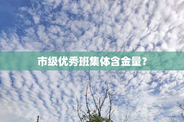 市级优秀班集体含金量？