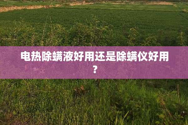 电热除螨液好用还是除螨仪好用？
