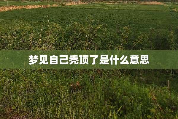 梦见自己秃顶了是什么意思