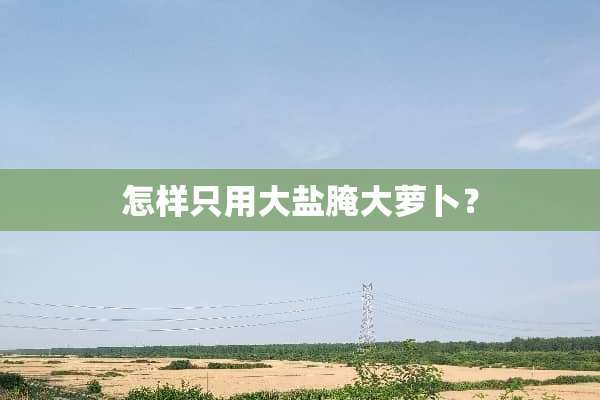 怎样只用大盐腌大萝卜？