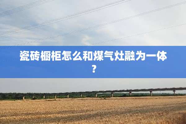 瓷砖橱柜怎么和煤气灶融为一体？