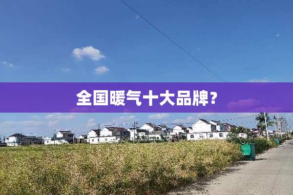 全国暖气十大品牌？