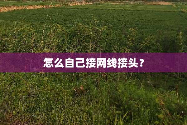 怎么自己接网线接头？