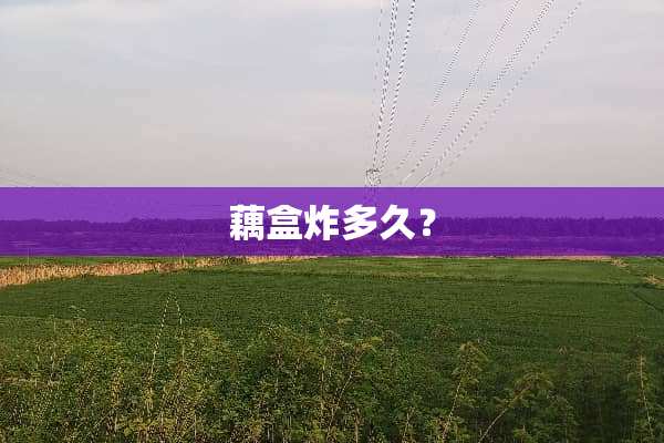 藕盒炸多久？