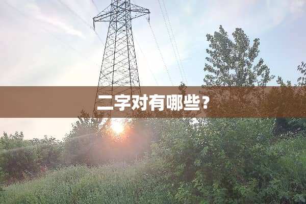 二字对有哪些？