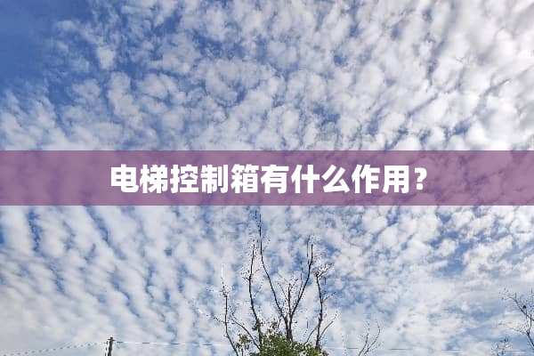 电梯控制箱有什么作用？