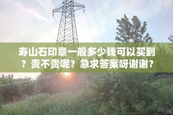 寿山石印章一般多少钱可以买到？贵不贵呢？急求答案呀谢谢？