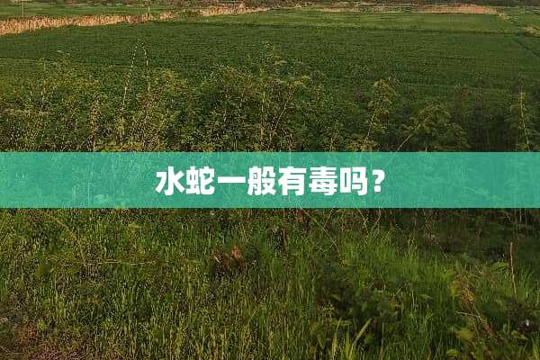 水蛇一般有毒吗？