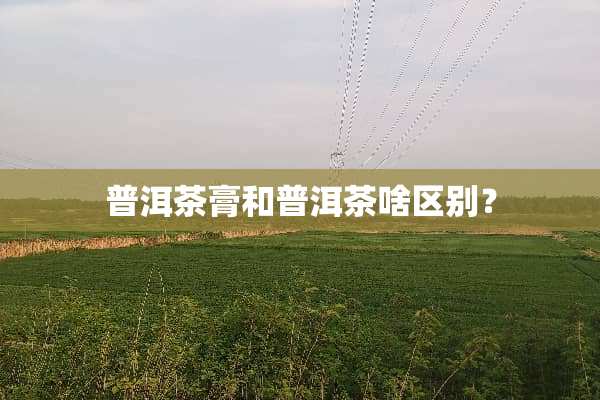 普洱茶膏和普洱茶啥区别？