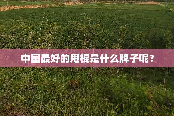 中国最好的**是什么牌子呢？