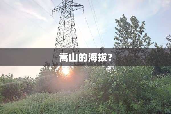 嵩山的海拔？