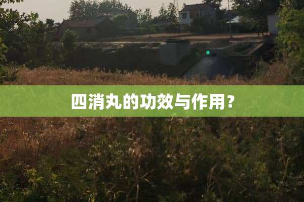 四消丸的功效与作用？