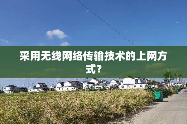 采用无线网络传输技术的上网方式？