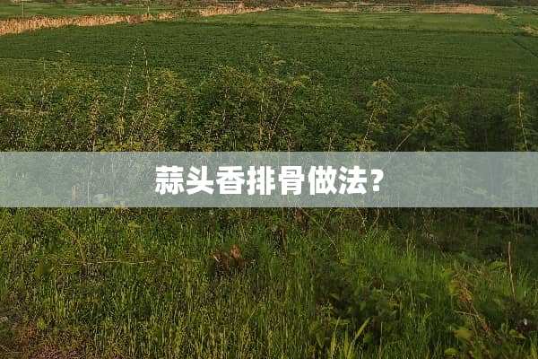 蒜头香排骨做法？