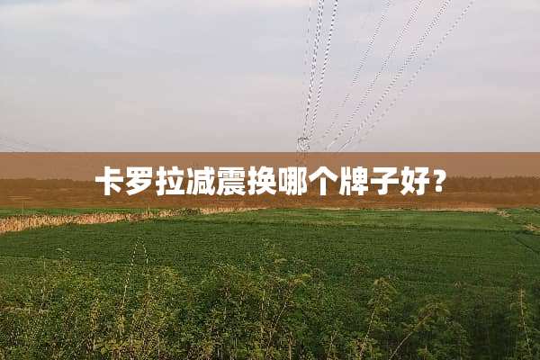卡罗拉减震换哪个牌子好？
