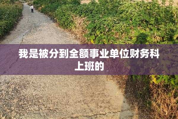 我是被分到全额事业单位财务科上班的