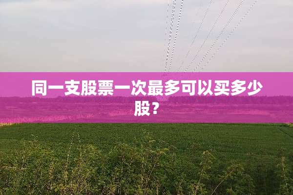 同一支股票一次最多可以买多少股？