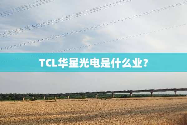 TCL华星光电是什么业？
