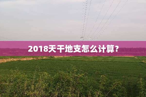 2018天干地支怎么计算？
