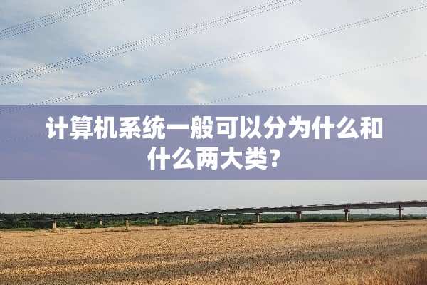 计算机系统一般可以分为什么和什么两大类？