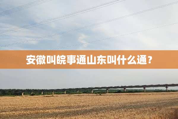 安徽叫皖事通山东叫什么通？