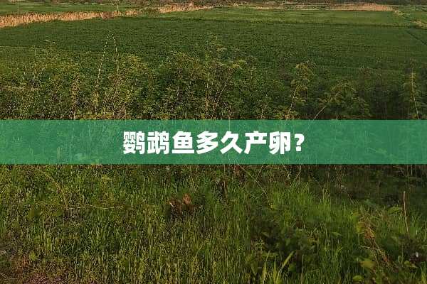 鹦鹉鱼多久产卵？
