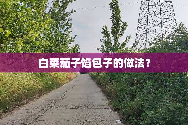 白菜茄子馅包子的做法？