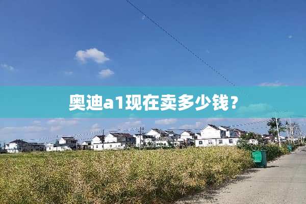 奥迪a1现在卖多少钱？