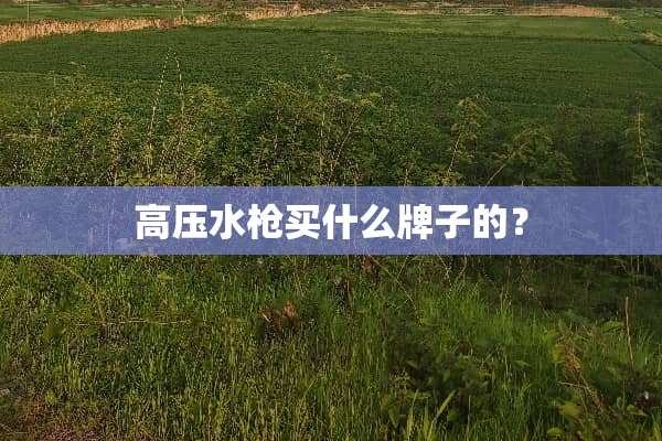 高压水*买什么牌子的？