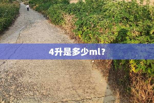 4升是多少ml？