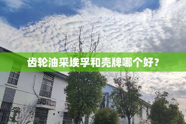 齿轮油采埃孚和壳牌哪个好？