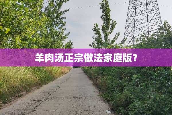 羊肉汤正宗做法家庭版？