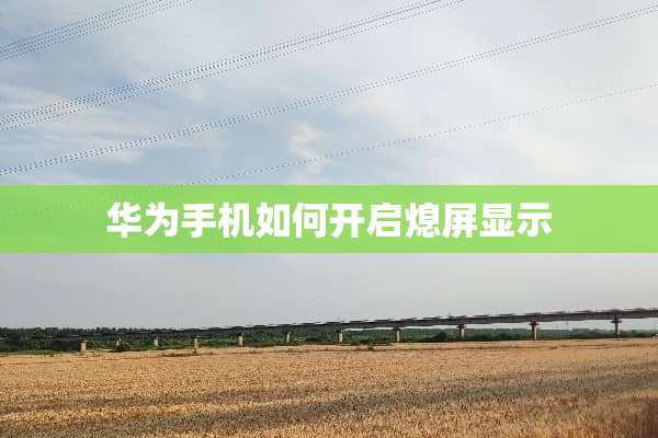 华为手机如何开启熄屏显示