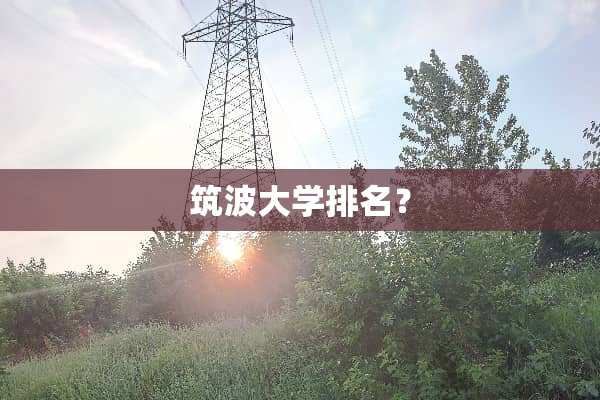 筑波大学排名？