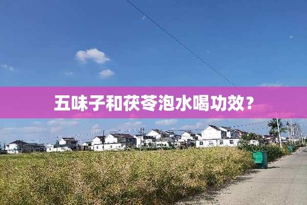 五味子和茯苓泡水喝功效？