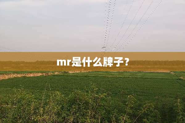mr是什么牌子？
