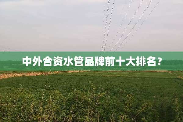 中外合资水管品牌前十大排名？