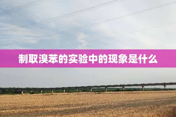 制取溴苯的实验中的现象是什么