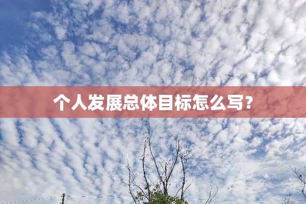 个人发展总体目标怎么写？