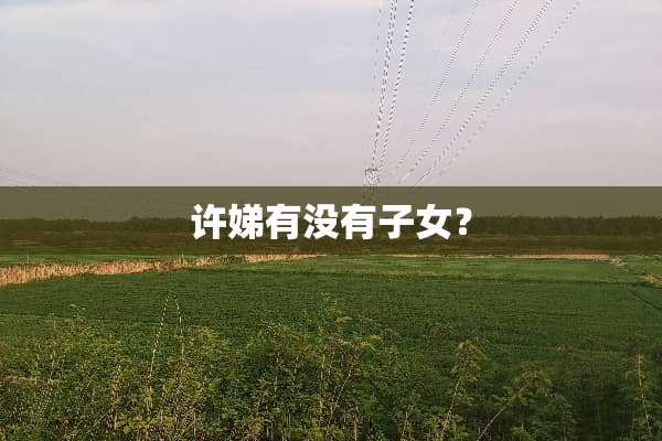 许娣有没有子女？