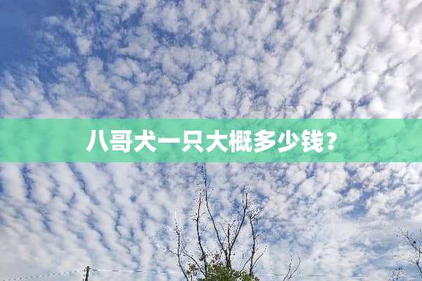 八哥犬一只大概多少钱？