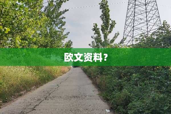 欧文资料？
