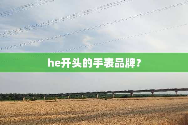he开头的手表品牌？