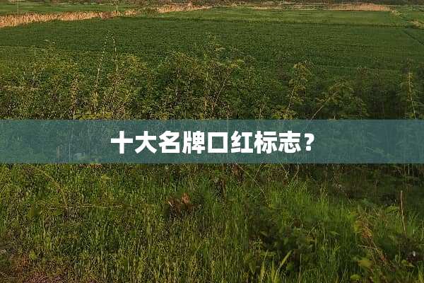 十大名牌口红标志？