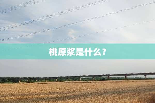 桃原浆是什么？